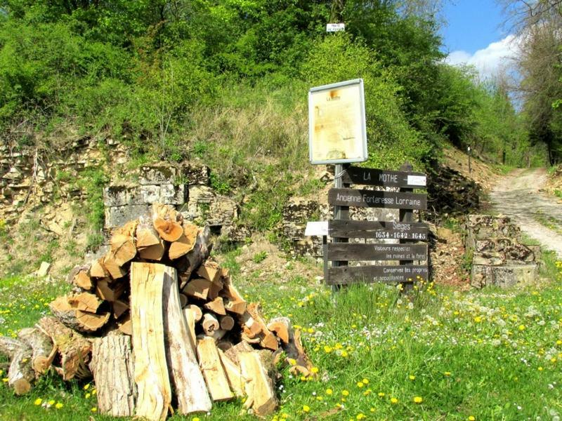 La Taniere Douce Bed and Breakfast Soulaucourt-sur-Mouzon Eksteriør billede